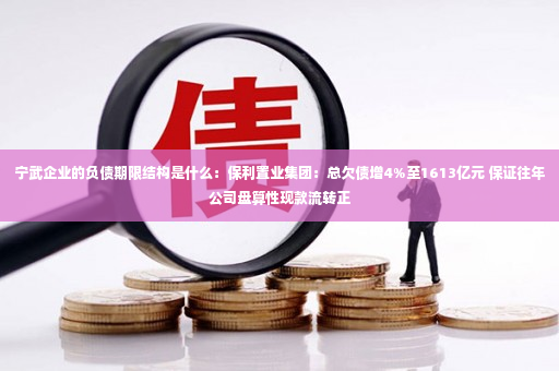 宁武企业的负债期限结构是什么：保利置业集团：总欠债增4%至1613亿元 保证往年公司盘算性现款流转正