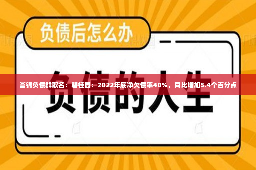 富锦负债群取名：碧桂园：2022年底净欠债率40%，同比增加5.4个百分点