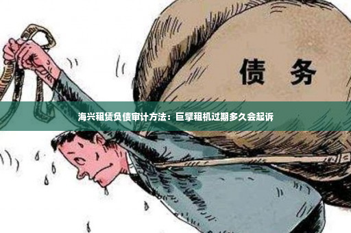 海兴租赁负债审计方法：巨擘租机过期多久会起诉