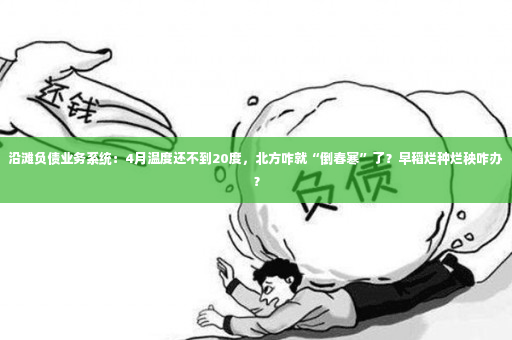 沿滩负债业务系统：4月温度还不到20度，北方咋就“倒春寒”了？早稻烂种烂秧咋办？