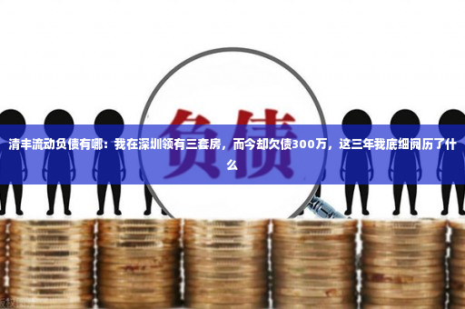 清丰流动负债有哪：我在深圳领有三套房，而今却欠债300万，这三年我底细阅历了什么