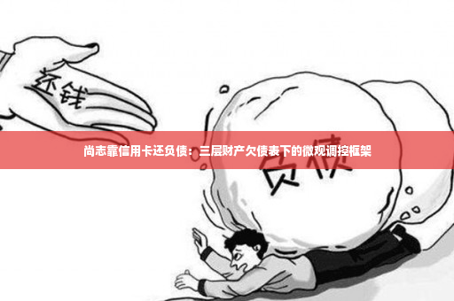 尚志靠信用卡还负债：三层财产欠债表下的微观调控框架