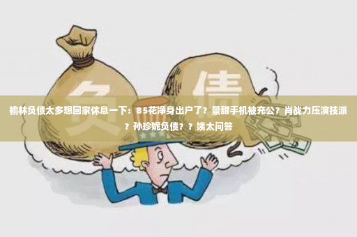 榆林负债太多想回家休息一下：85花净身出户了？景甜手机被充公？肖战力压演技派？孙珍妮负债？？姨太问答