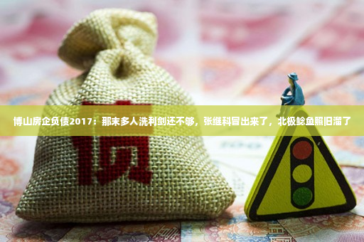 博山房企负债2017：那末多人洗利剑还不够，张继科冒出来了，北极鲶鱼照旧溜了