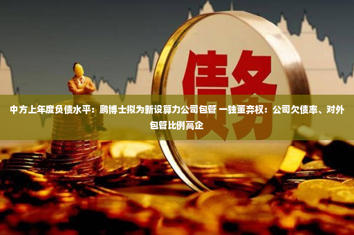 中方上年度负债水平：鹏博士拟为新设算力公司包管 一独董弃权：公司欠债率、对外包管比例高企