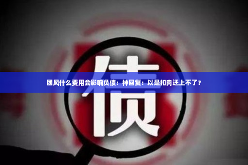 团风什么费用会影响负债：神回复：以是扣肉还上不了？