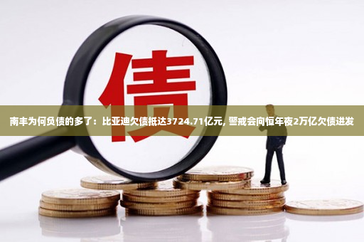 南丰为何负债的多了：比亚迪欠债抵达3724.71亿元, 警戒会向恒年夜2万亿欠债进发