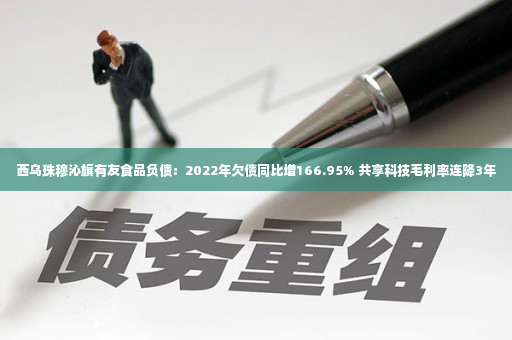 西乌珠穆沁旗有友食品负债：2022年欠债同比增166.95% 共享科技毛利率连降3年