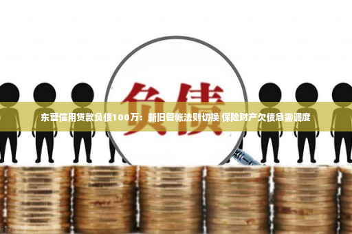 东营信用贷款负债100万：新旧管帐法则切换 保险财产欠债急需调度