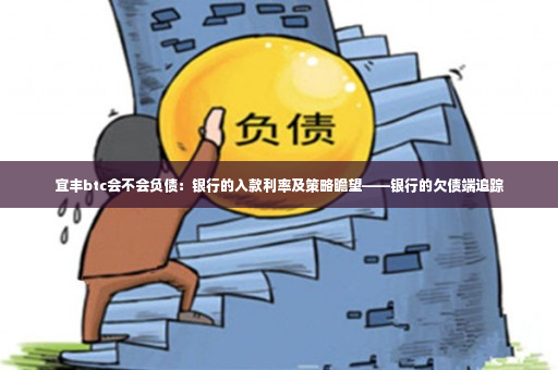 宜丰btc会不会负债：银行的入款利率及策略瞻望——银行的欠债端追踪