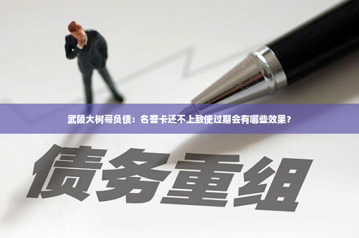 武陵大树哥负债：名誉卡还不上致使过期会有哪些效果？